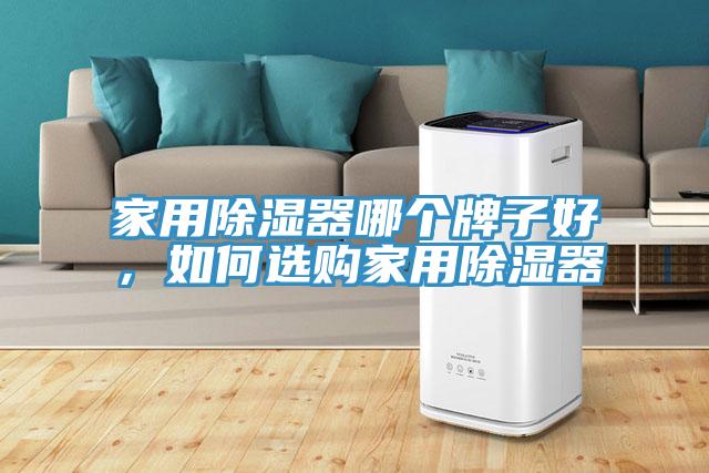 家用除濕器哪個(gè)牌子好，如何選購家用除濕器