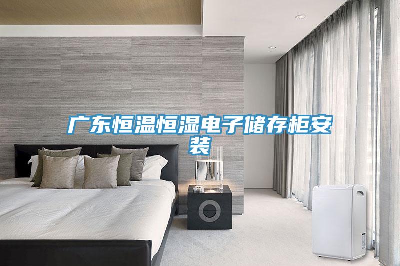 廣東恒溫恒濕電子儲(chǔ)存柜安裝