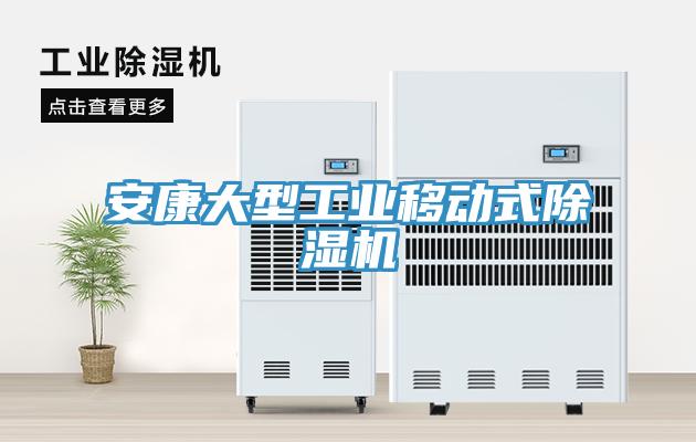 安康大型工業(yè)移動式除濕機(jī)
