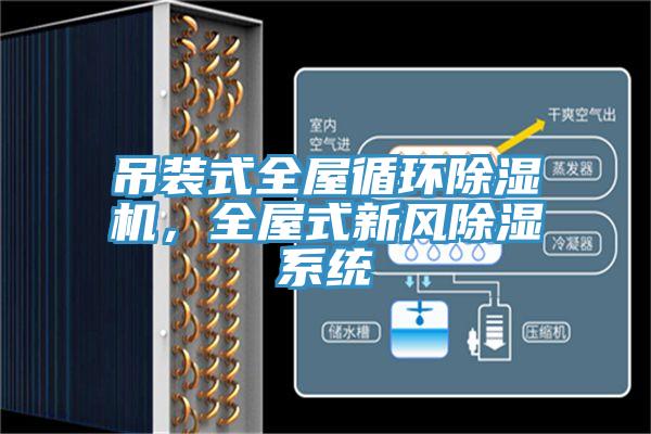 吊裝式全屋循環(huán)除濕機(jī)，全屋式新風(fēng)除濕系統(tǒng)