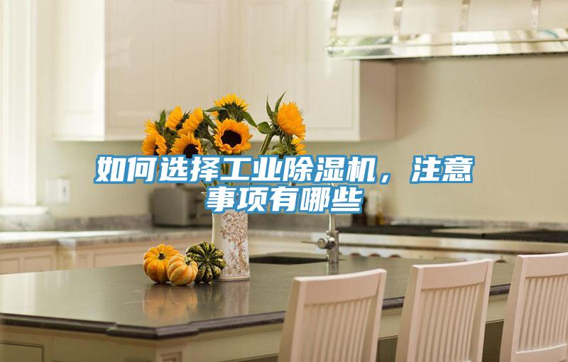 如何選擇工業(yè)除濕機(jī)，注意事項(xiàng)有哪些