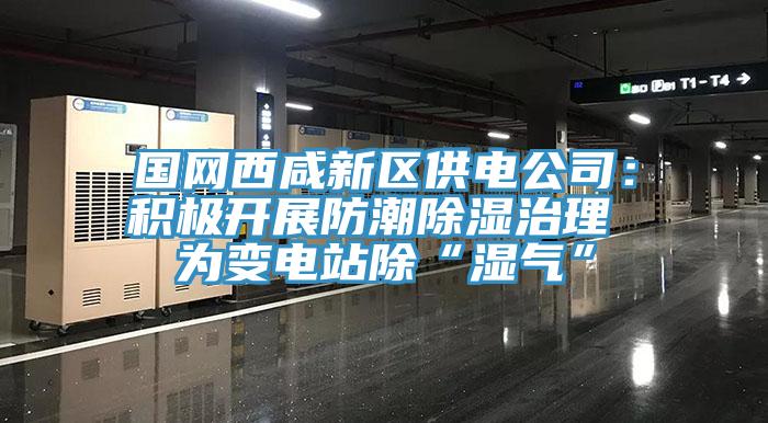 國(guó)網(wǎng)西咸新區(qū)供電公司：積極開展防潮除濕治理 為變電站除“濕氣”