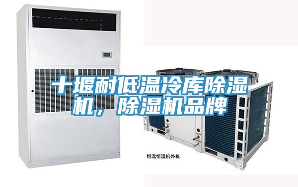 十堰耐低溫冷庫除濕機，除濕機品牌