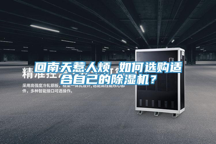 回南天惹人煩 如何選購適合自己的除濕機？