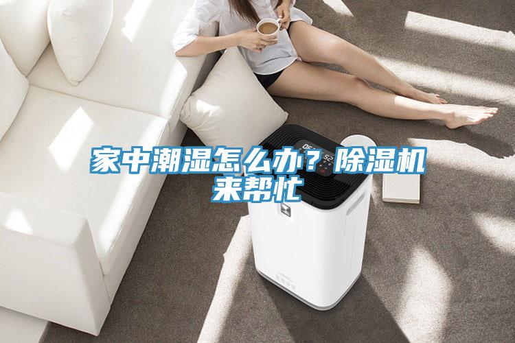 家中潮濕怎么辦？除濕機(jī)來(lái)幫忙