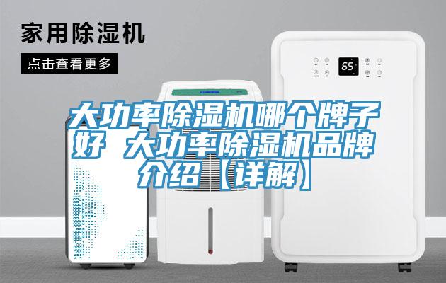 大功率除濕機(jī)哪個牌子好 大功率除濕機(jī)品牌介紹【詳解】