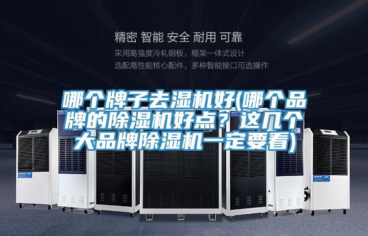 哪個(gè)牌子去濕機(jī)好(哪個(gè)品牌的除濕機(jī)好點(diǎn)？這幾個(gè)大品牌除濕機(jī)一定要看)