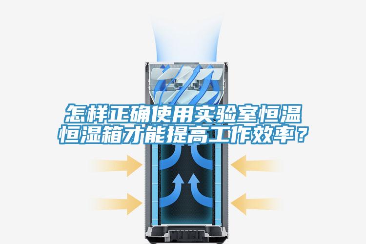 怎樣正確使用實(shí)驗(yàn)室恒溫恒濕箱才能提高工作效率？