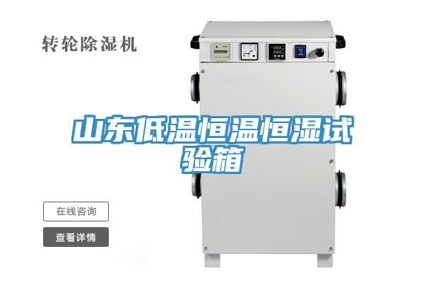 山東低溫恒溫恒濕試驗(yàn)箱