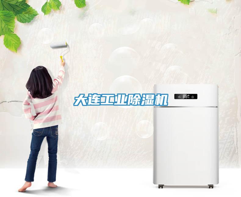 大連工業(yè)除濕機(jī)