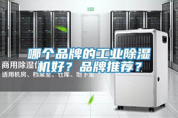 哪個品牌的工業(yè)除濕機好？品牌推薦？