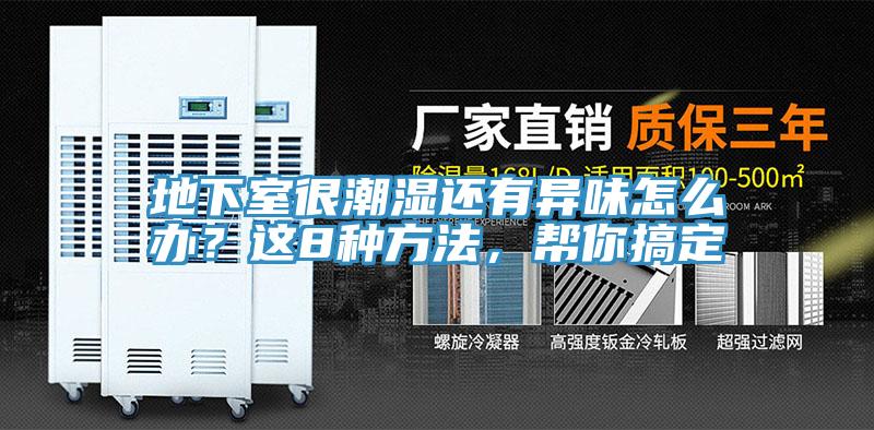 地下室很潮濕還有異味怎么辦？這8種方法，幫你搞定