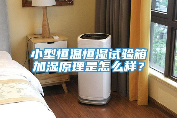小型恒溫恒濕試驗(yàn)箱加濕原理是怎么樣？