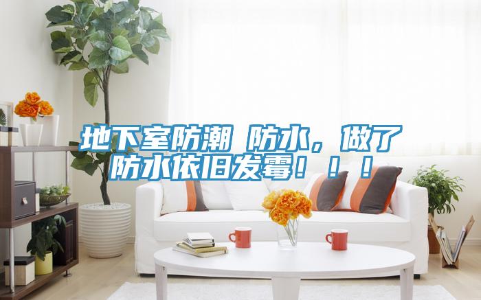 地下室防潮≠防水，做了防水依舊發(fā)霉?。?！