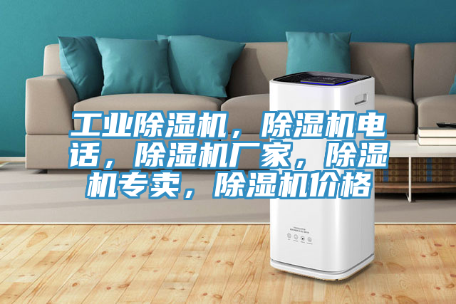 工業(yè)除濕機(jī)，除濕機(jī)電話，除濕機(jī)廠家，除濕機(jī)專賣，除濕機(jī)價(jià)格