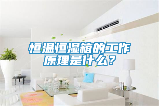 恒溫恒濕箱的工作原理是什么？