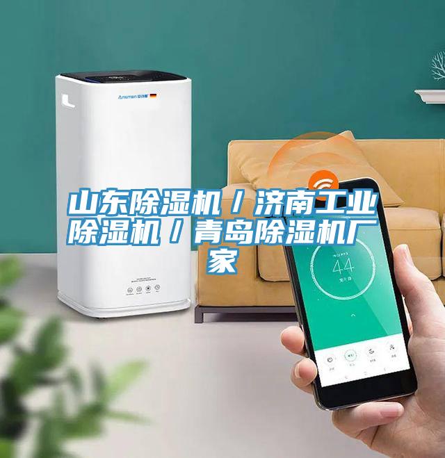 山東除濕機／濟南工業(yè)除濕機／青島除濕機廠家