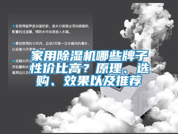 家用除濕機(jī)哪些牌子性?xún)r(jià)比高？原理、選購(gòu)、效果以及推薦
