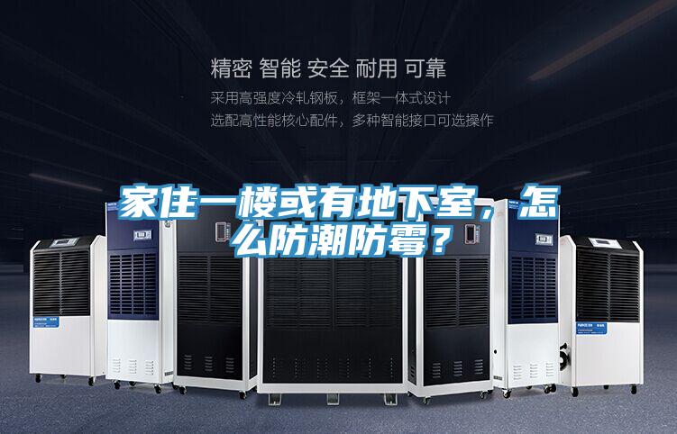 家住一樓或有地下室，怎么防潮防霉？