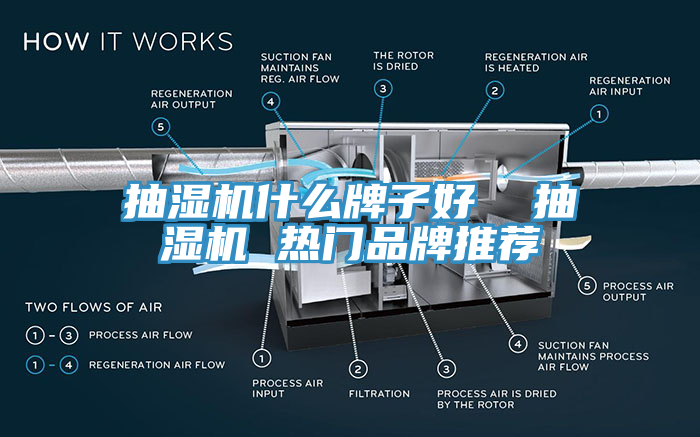 抽濕機(jī)什么牌子好  抽濕機(jī) 熱門品牌推薦