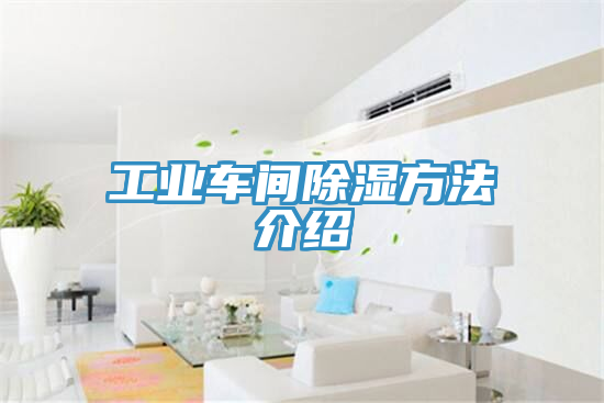 工業(yè)車(chē)間除濕方法介紹