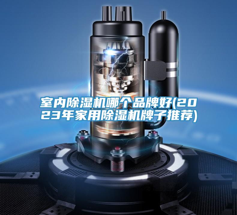 室內(nèi)除濕機(jī)哪個品牌好(2023年家用除濕機(jī)牌子推薦)