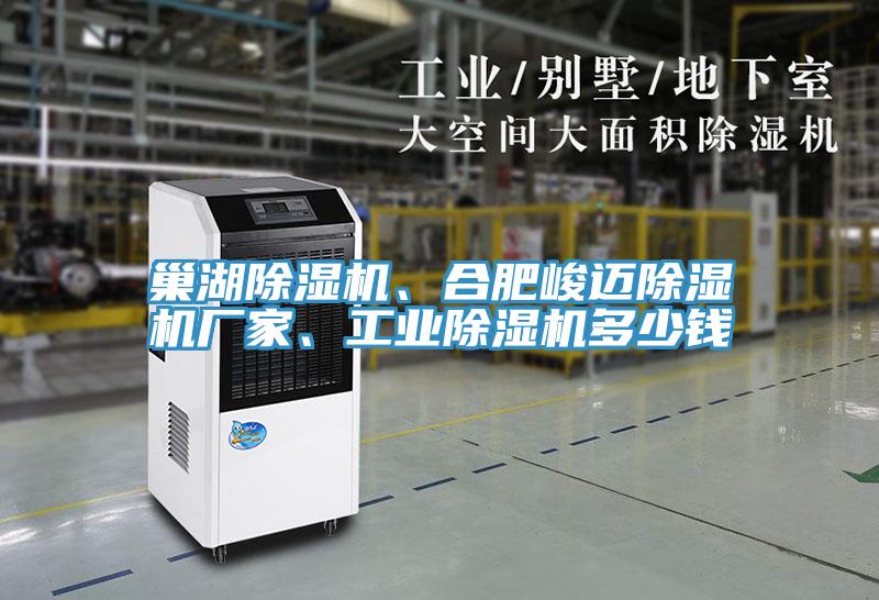 巢湖除濕機(jī)、合肥峻邁除濕機(jī)廠家、工業(yè)除濕機(jī)多少錢
