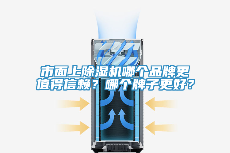 市面上除濕機(jī)哪個(gè)品牌更值得信賴？哪個(gè)牌子更好？