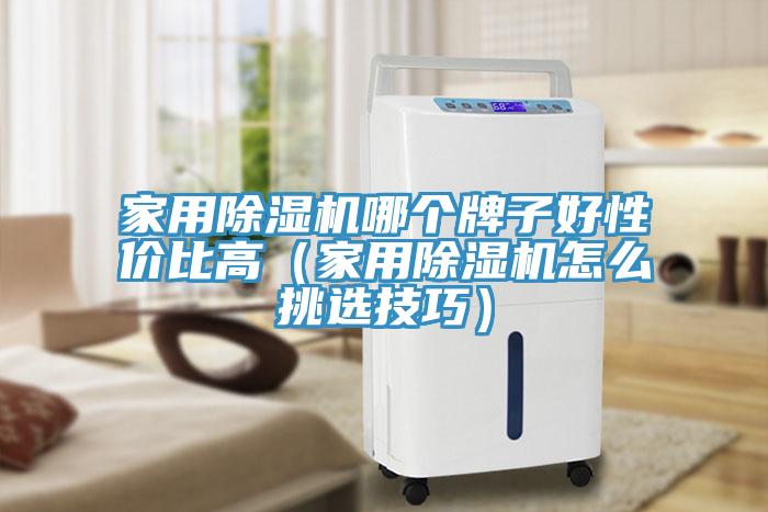 家用除濕機(jī)哪個(gè)牌子好性價(jià)比高（家用除濕機(jī)怎么挑選技巧）