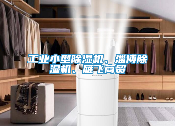 工業(yè)小型除濕機(jī)、淄博除濕機(jī)、雁飛商貿(mào)