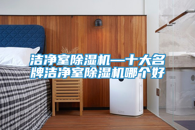 潔凈室除濕機(jī)—十大名牌潔凈室除濕機(jī)哪個好