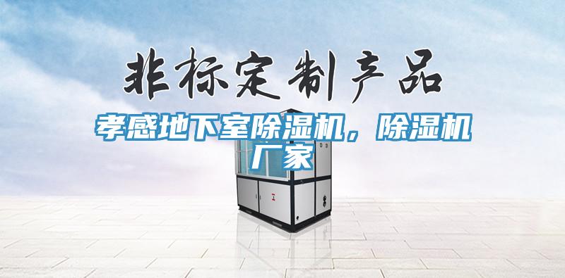 孝感地下室除濕機(jī)，除濕機(jī)廠家