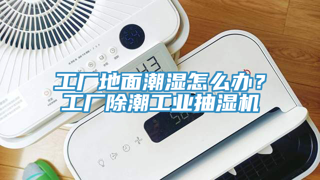 工廠地面潮濕怎么辦？工廠除潮工業(yè)抽濕機(jī)