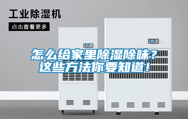 怎么給家里除濕除味？這些方法你要知道！