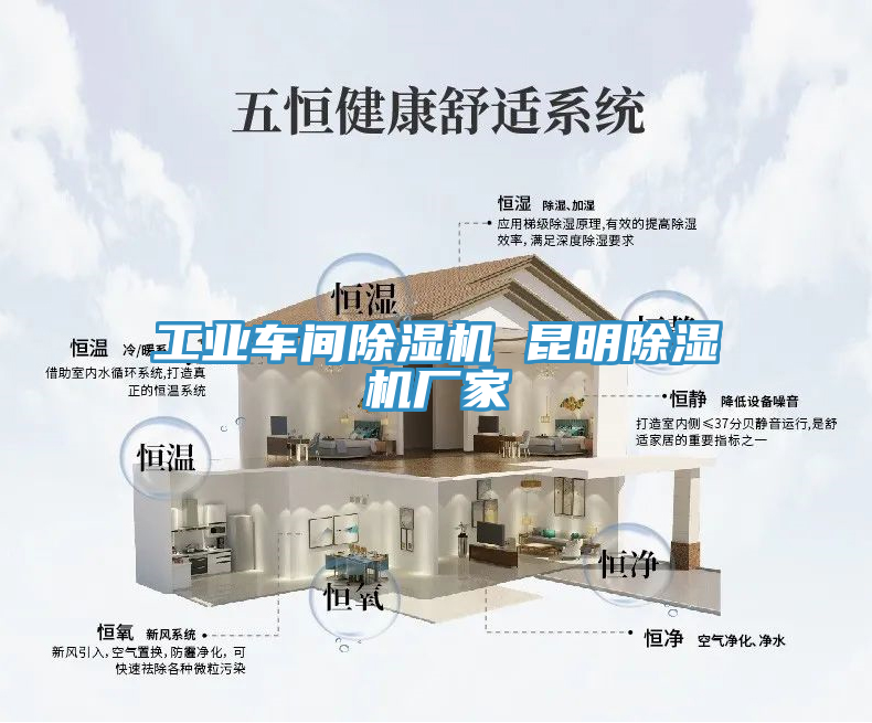 工業(yè)車(chē)間除濕機(jī) 昆明除濕機(jī)廠家
