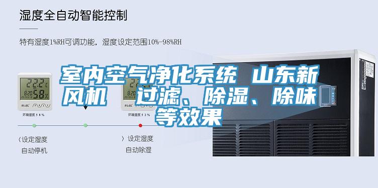 室內(nèi)空氣凈化系統(tǒng) 山東新風(fēng)機(jī)  過(guò)濾、除濕、除味等效果