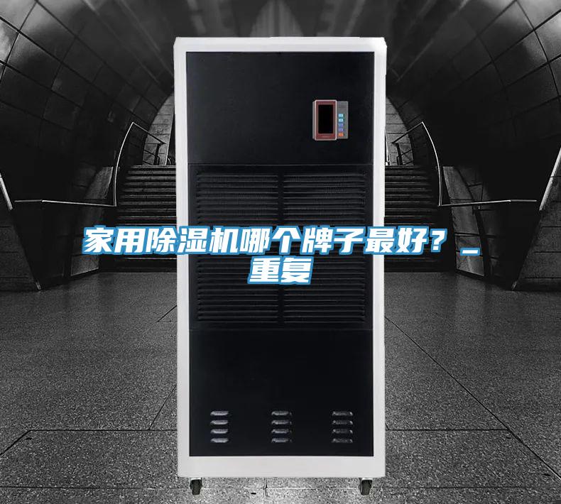 家用除濕機哪個牌子最好？_重復