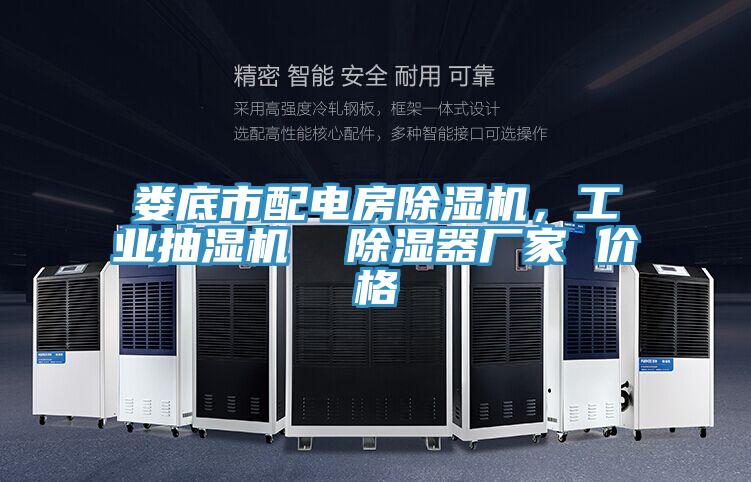 婁底市配電房除濕機(jī)，工業(yè)抽濕機(jī)  除濕器廠家 價格