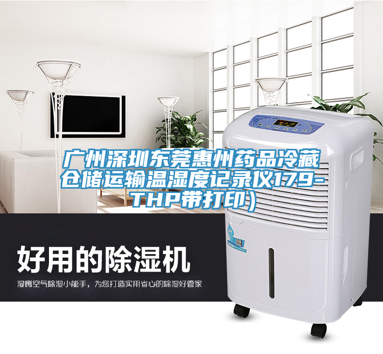 廣州深圳東莞惠州藥品冷藏倉(cāng)儲(chǔ)運(yùn)輸溫濕度記錄儀179-THP帶打印）