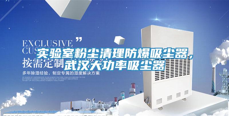 實驗室粉塵清理防爆吸塵器，武漢大功率吸塵器