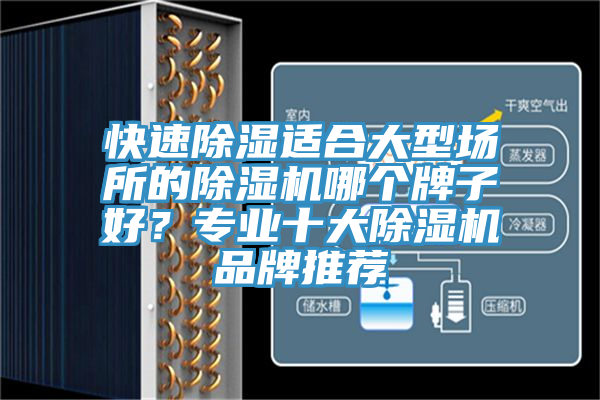 快速除濕適合大型場所的除濕機哪個牌子好？專業(yè)十大除濕機品牌推薦