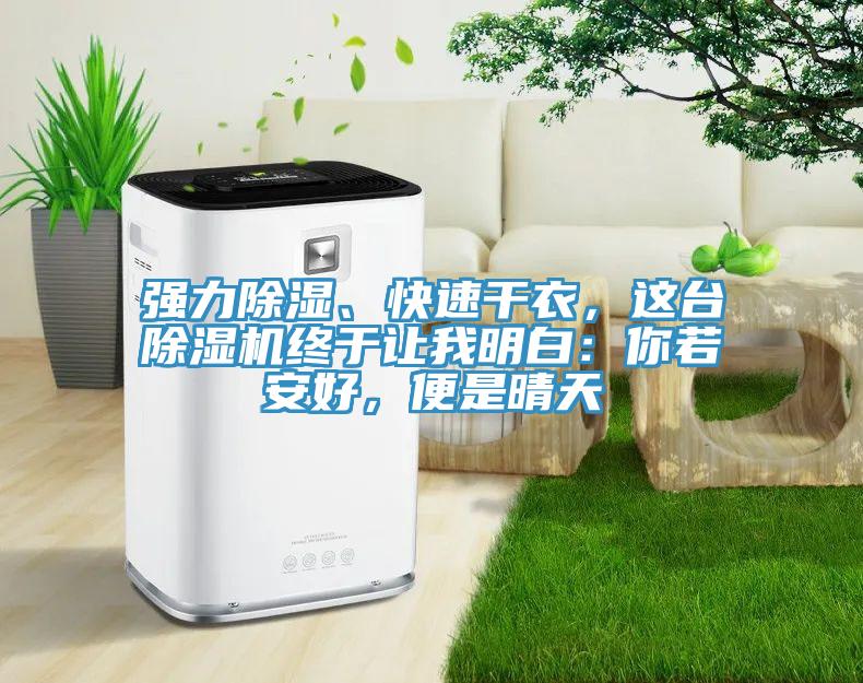 強力除濕、快速干衣，這臺除濕機終于讓我明白：你若安好，便是晴天