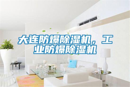 大連防爆除濕機，工業(yè)防爆除濕機