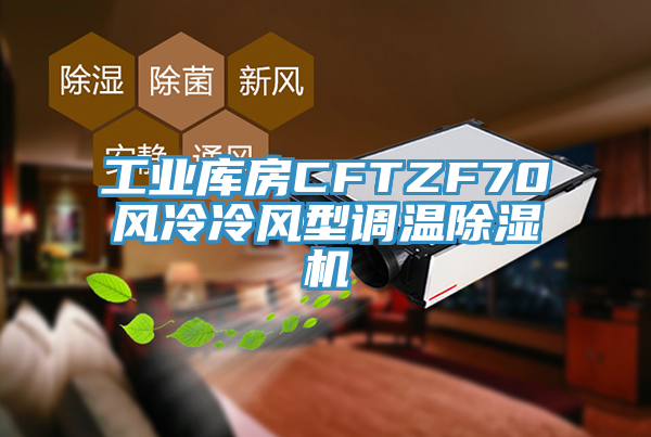工業(yè)庫房CFTZF70風(fēng)冷冷風(fēng)型調(diào)溫除濕機(jī)