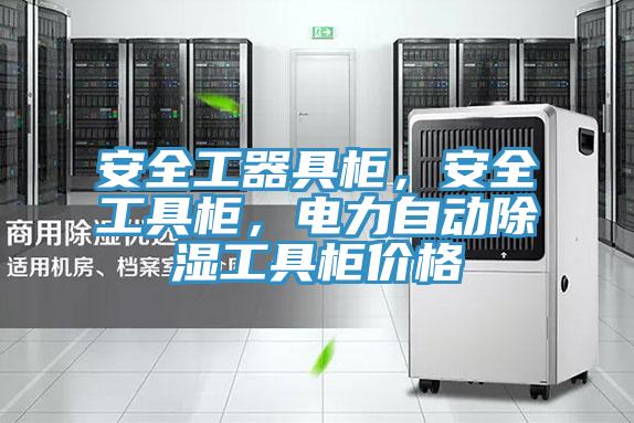 安全工器具柜，安全工具柜，電力自動(dòng)除濕工具柜價(jià)格