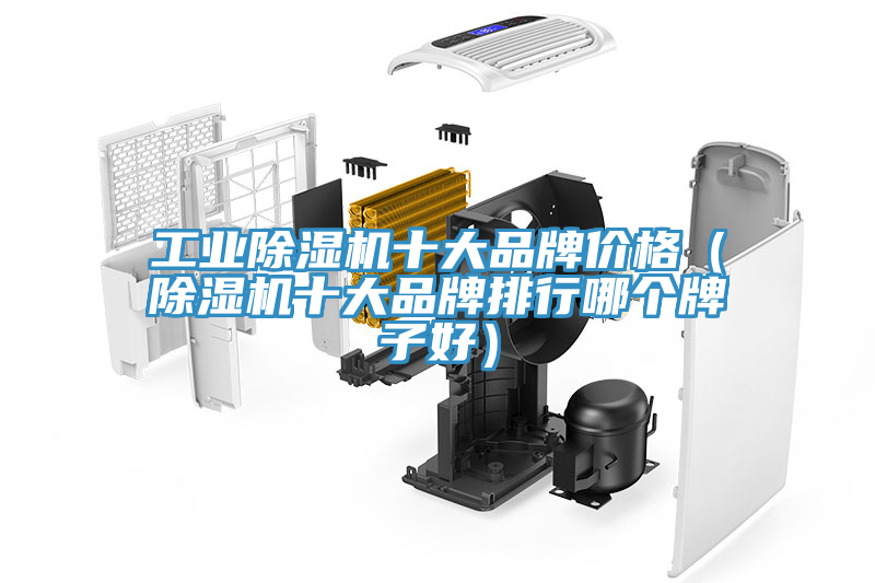 工業(yè)除濕機(jī)十大品牌價格（除濕機(jī)十大品牌排行哪個牌子好）