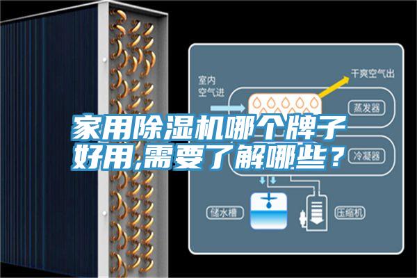 家用除濕機哪個牌子好用,需要了解哪些？
