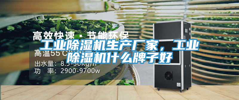工業(yè)除濕機(jī)生產(chǎn)廠家，工業(yè)除濕機(jī)什么牌子好
