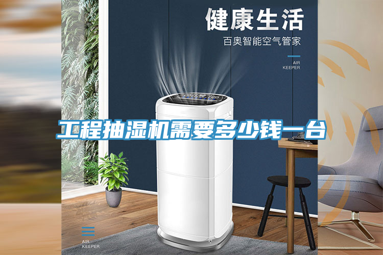 工程抽濕機(jī)需要多少錢一臺