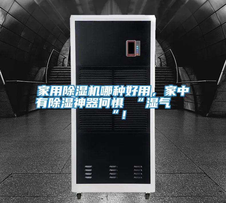 家用除濕機(jī)哪種好用，家中有除濕神器何懼 “濕氣 “！